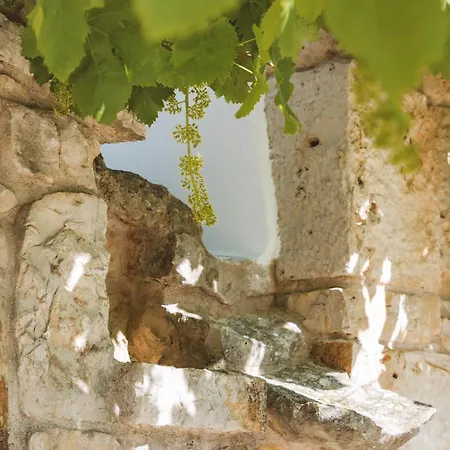 Frühstückspension Il Giardino Degli Ulivi 4*
